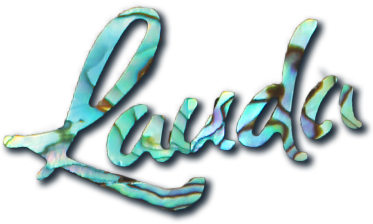 Link to Lauda Guitars Website